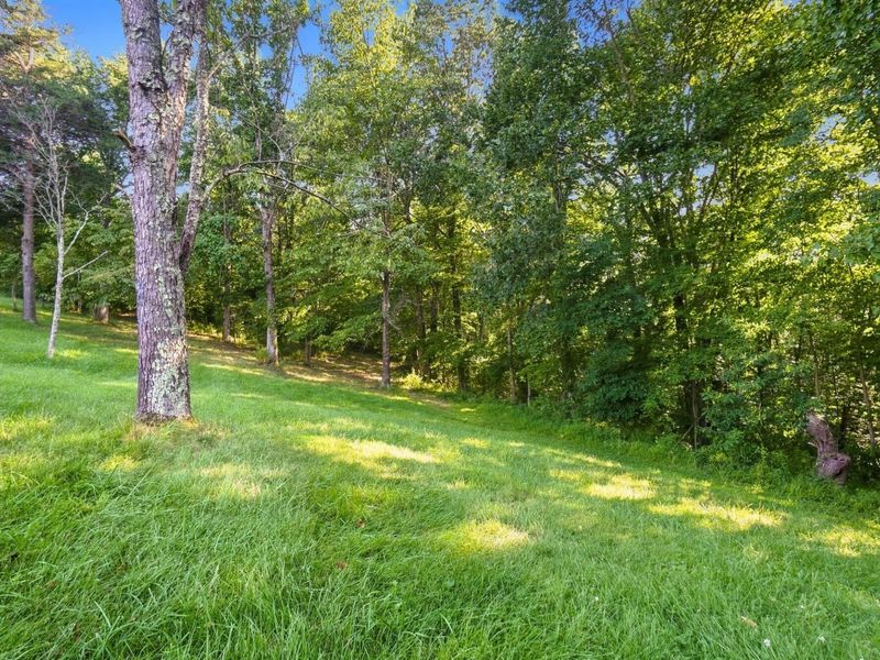 20731 Ohio 664 , South Bloomingville, OH 43152 Photo 94