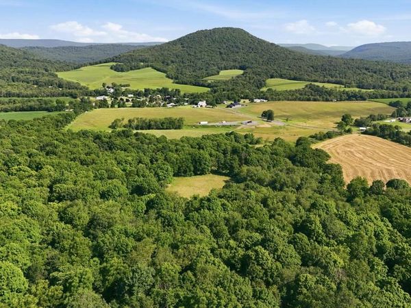 OLD PLANK ROAD , JAMES CREEK, PA 16657