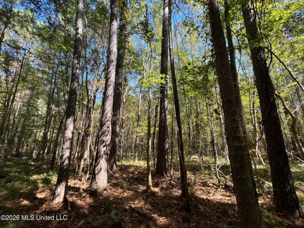 Highway 84 , Roxie, MS 39661