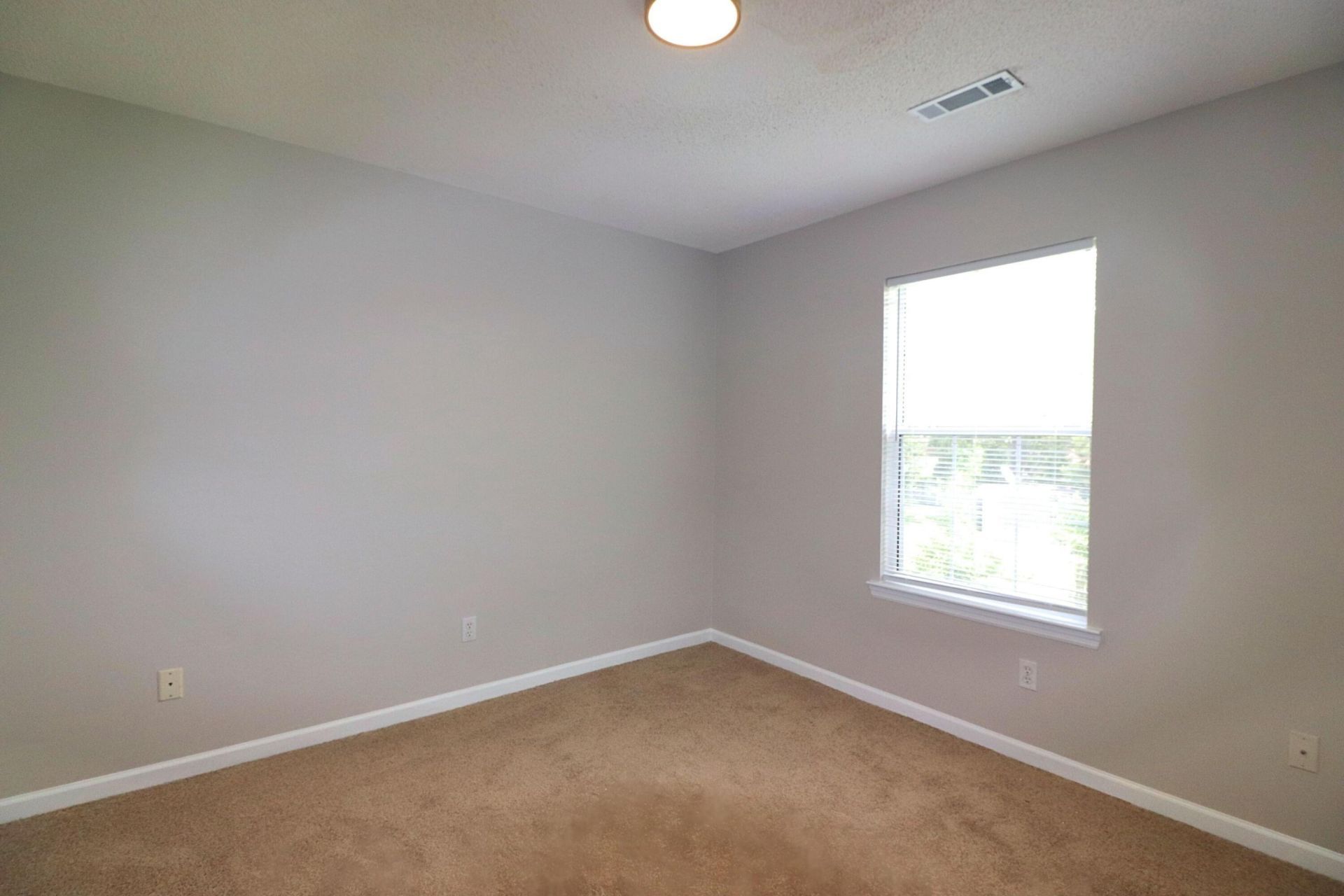 294 Hastings Drive Photo 11