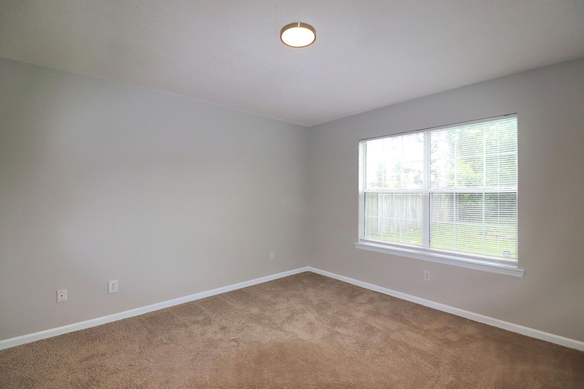294 Hastings Drive Photo 5