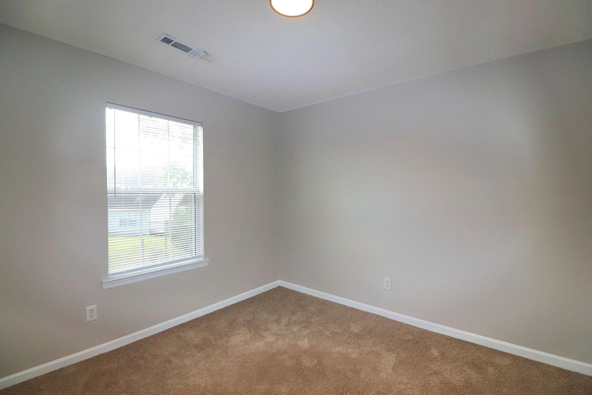 294 Hastings Drive Photo 9