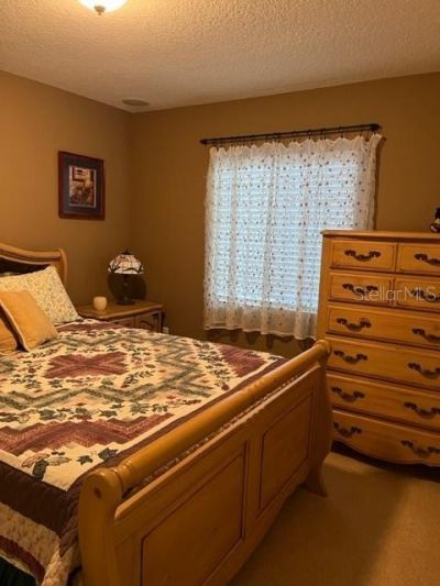 523 Mount Olympus Boulevard, New Smyrna Beach, FL 32168 Photo