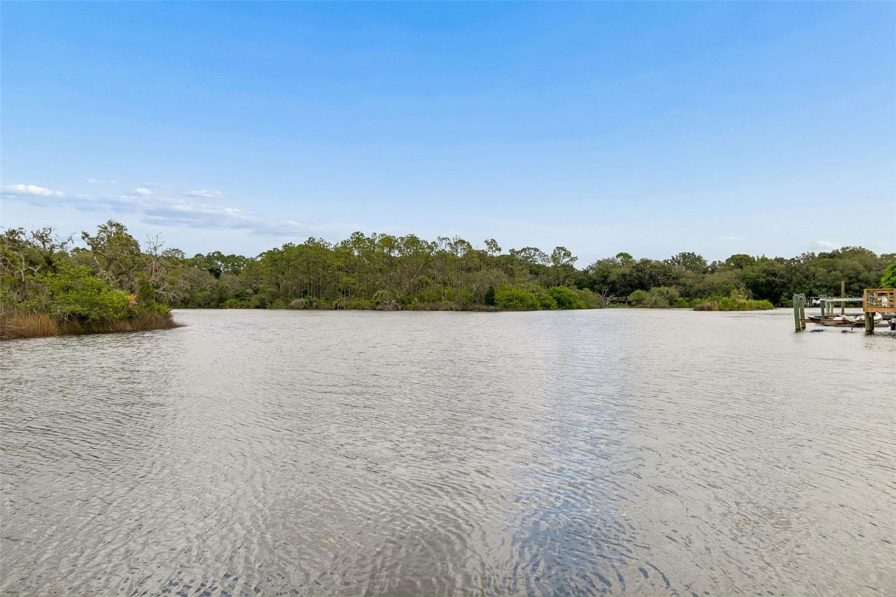 1166 Chancellor Drive, Holiday, FL 34690 Photo