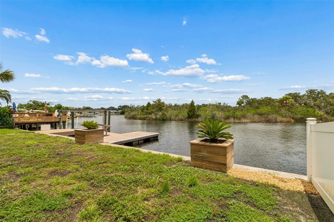 1166 Chancellor Drive, Holiday, FL 34690 Photo