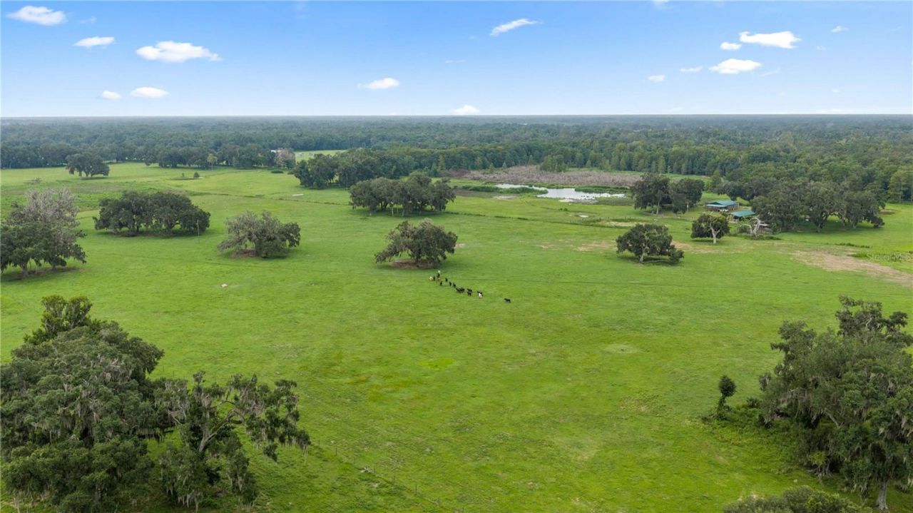 County Road 774, Webster, FL 33597 Photo