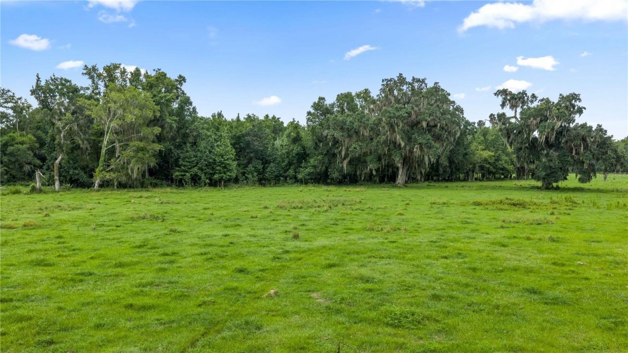 County Road 774, Webster, FL 33597 Photo