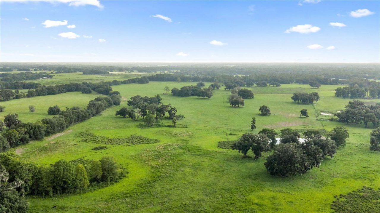 County Road 774, Webster, FL 33597 Photo