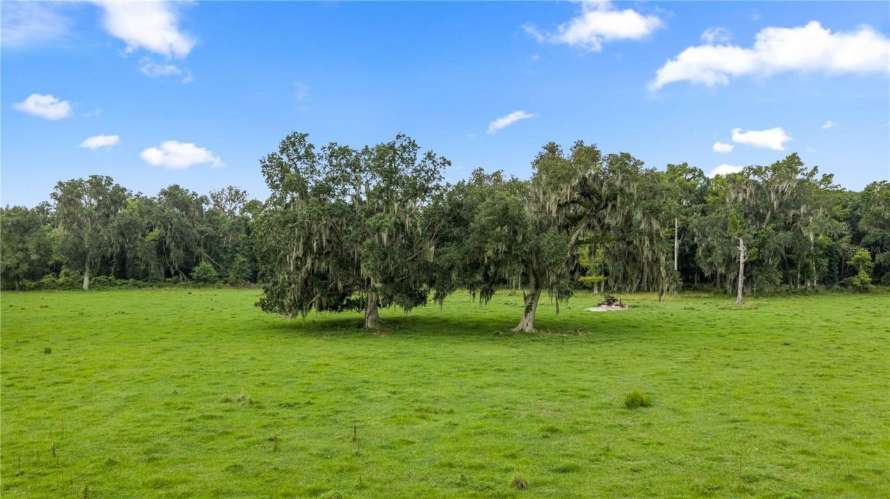 County Road 774, Webster, FL 33597 Photo