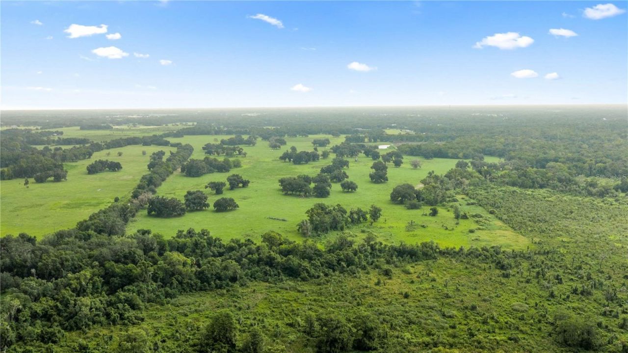 County Road 774, Webster, FL 33597 Photo