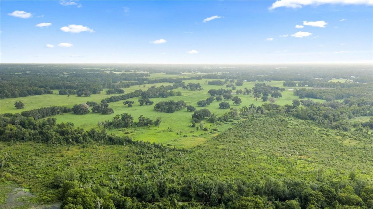 County Road 774, Webster, FL 33597 Photo