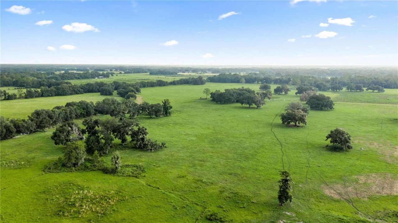 County Road 774, Webster, FL 33597 Photo