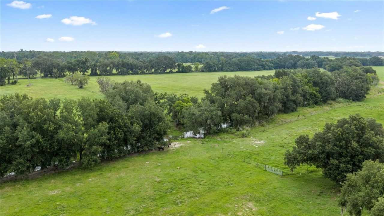 County Road 774, Webster, FL 33597 Photo