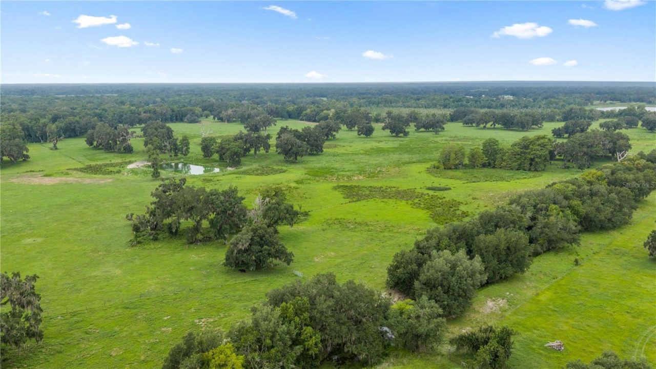 County Road 774, Webster, FL 33597 Photo