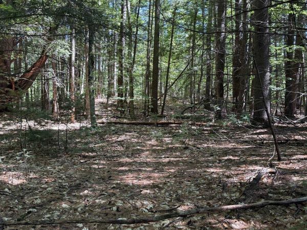 0000 Route 175, Unit Lot 4, Holderness, NH 03245