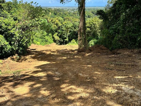 Carr. 966 JIMENEZ WARD, Rio Grande, PR 00745