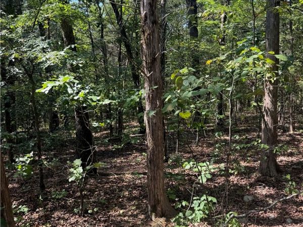 TBD (Lot 18) Larchwood Drive, Diamond City, AR 72644