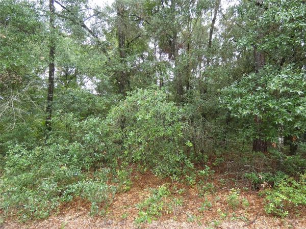 TBD SW 151 ST PL , DUNNELLON, FL 34432