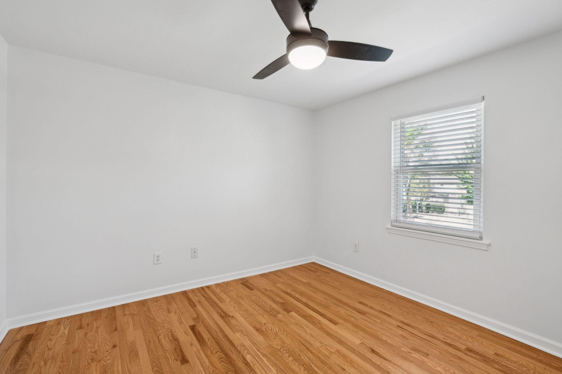 415 Parkdale Drive Photo 18