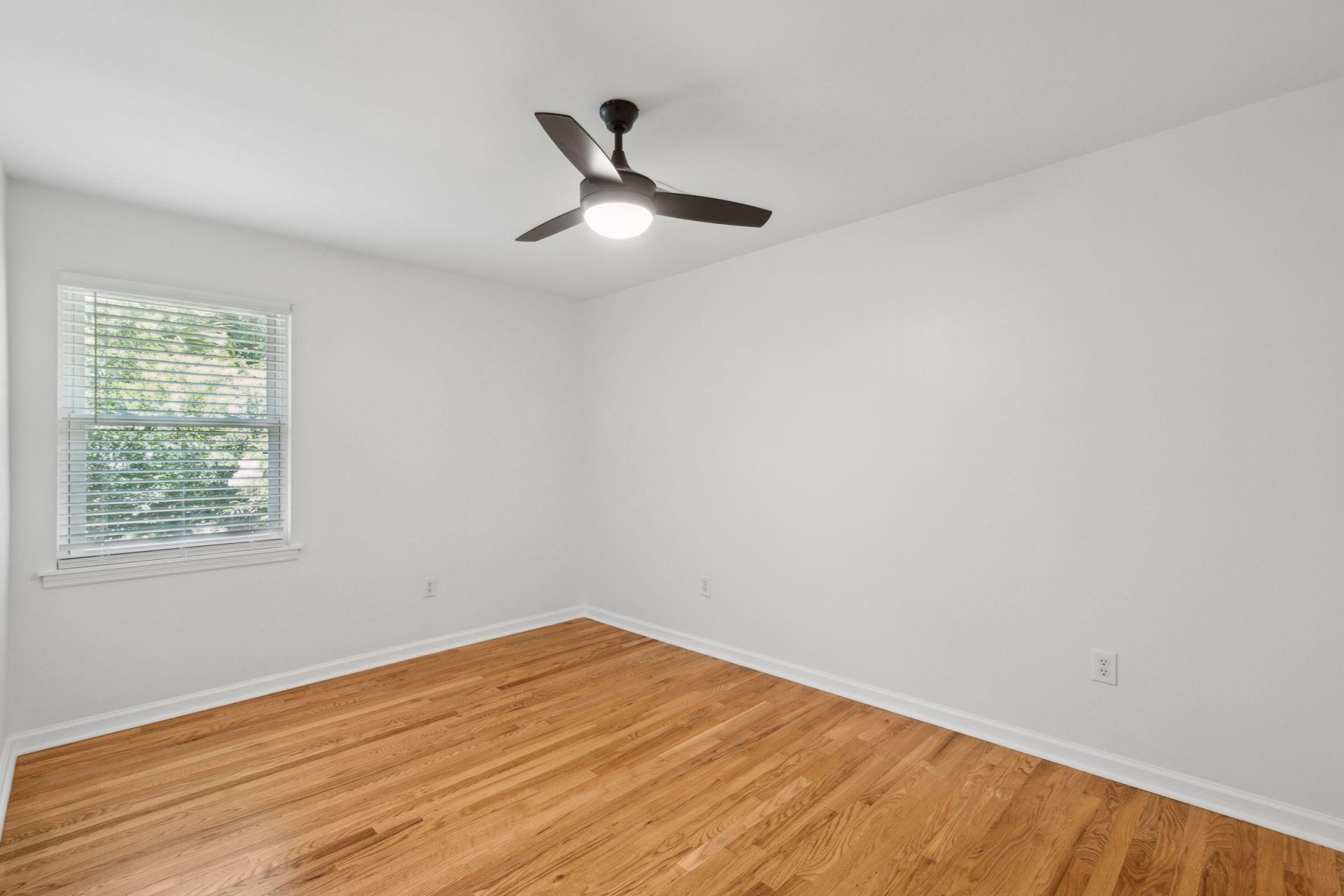 415 Parkdale Drive Photo 23