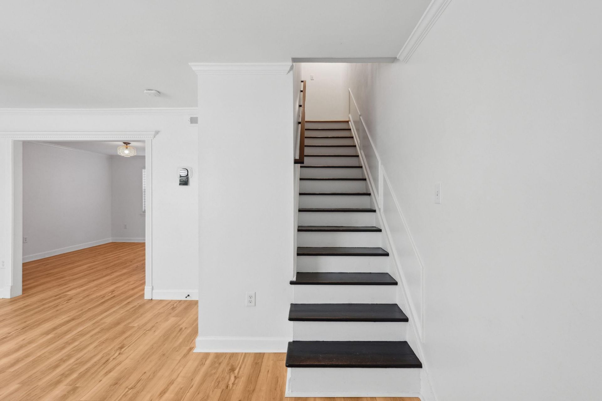 415 Parkdale Drive Photo 4