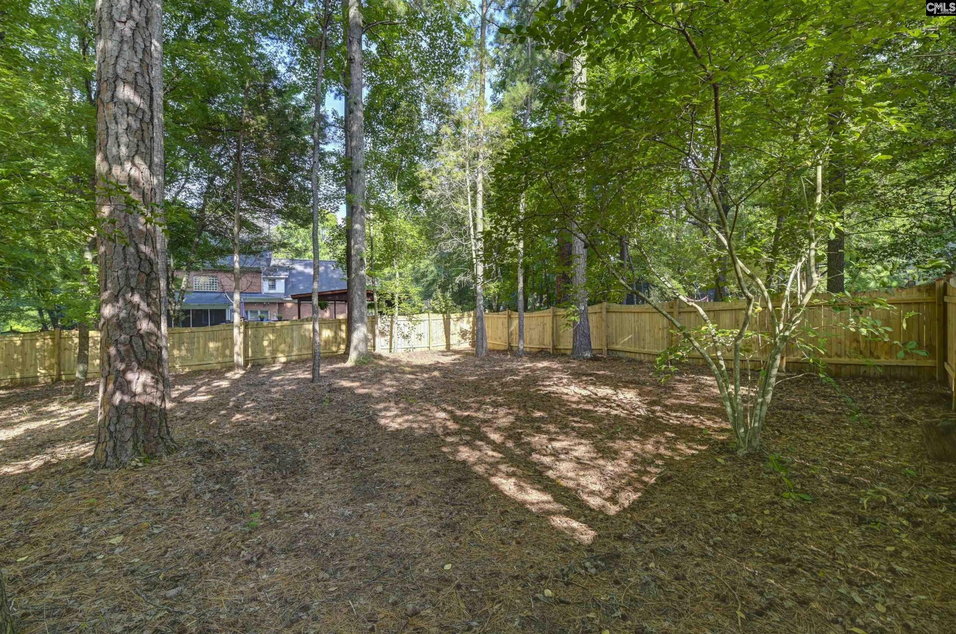 207 Williamstown Way  Photo 47