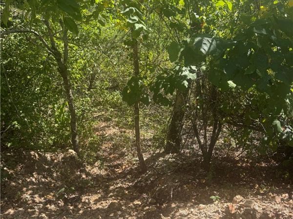 TBD (Lot 25) Cardinal Lane , Diamond City, AR 72644