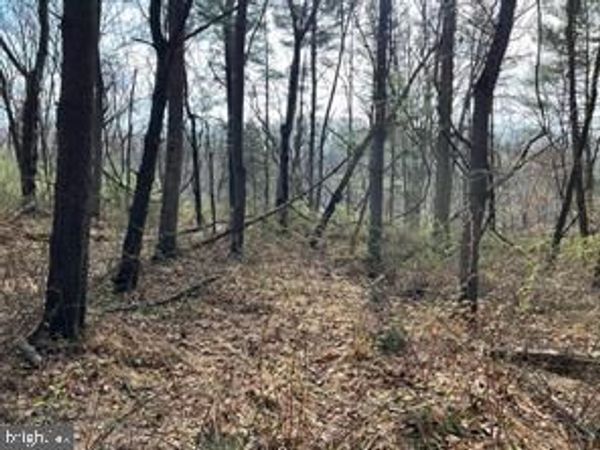 Lot 10 SHANKTOWN ROAD , BIG POOL, MD 21711