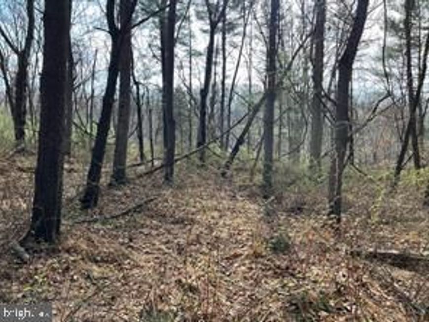 Lot 10 Shanktown Road , Big Pool, MD 21711 Main Photo