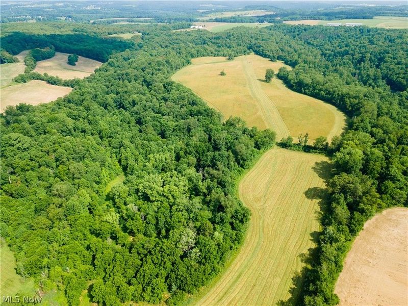 Cherry Run , Dundee, OH 44624 Photo 10