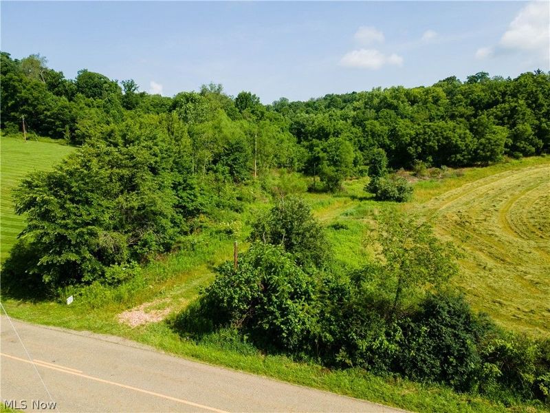 Cherry Run , Dundee, OH 44624 Photo 39