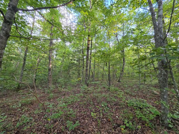 18 Meyers Road , Unit 18, Altamont, TN 37301