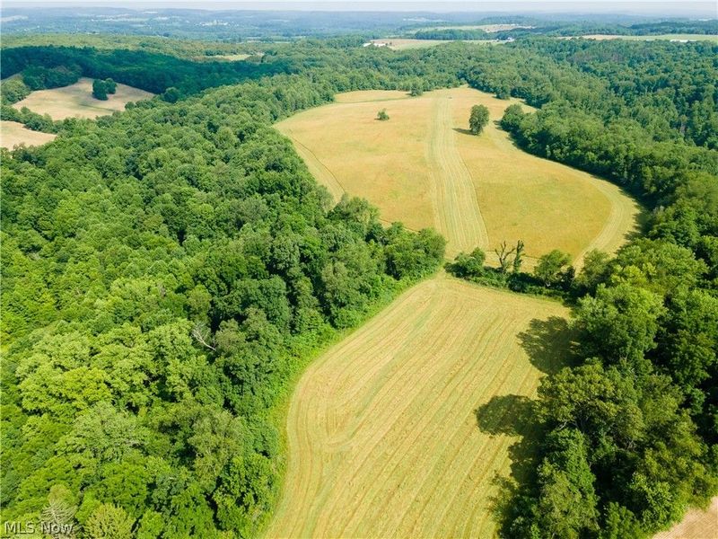 Cherry Run , Dundee, OH 44624 Photo 11