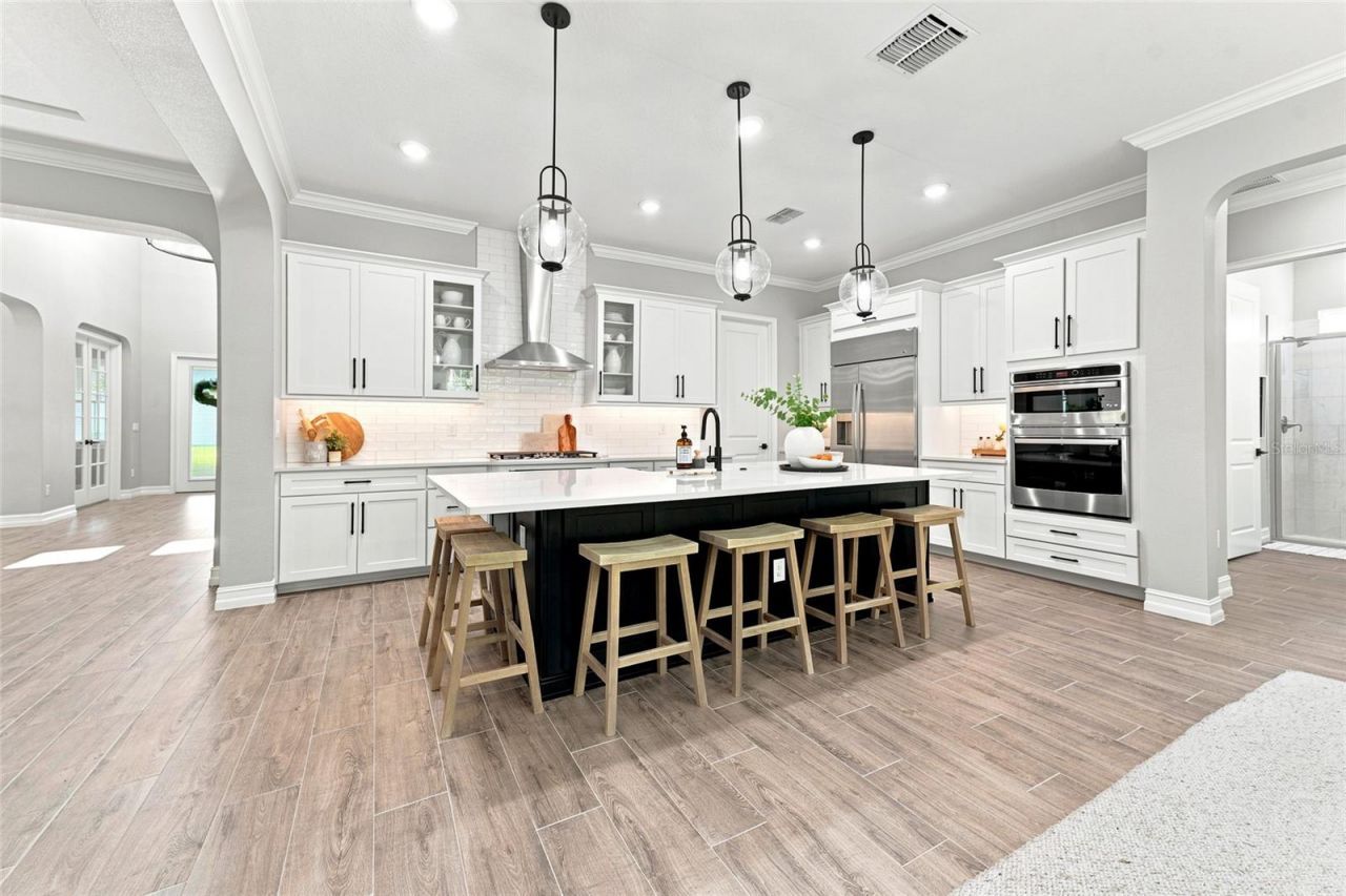 29818 Picana Lane, Wesley Chapel, FL 33543 Photo