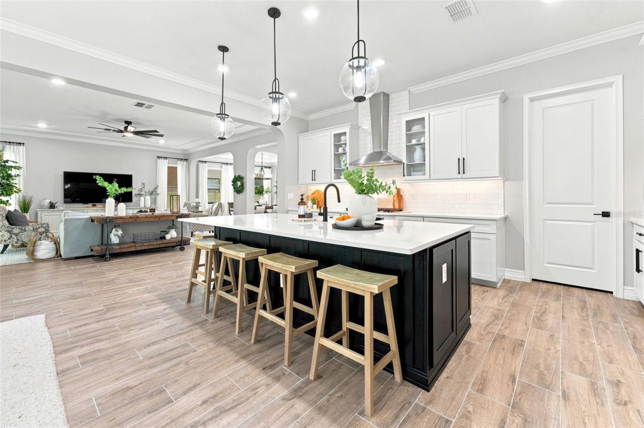 29818 Picana Lane, Wesley Chapel, FL 33543 Photo