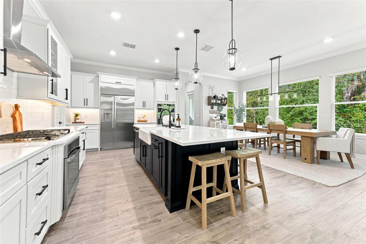 29818 Picana Lane, Wesley Chapel, FL 33543 Photo