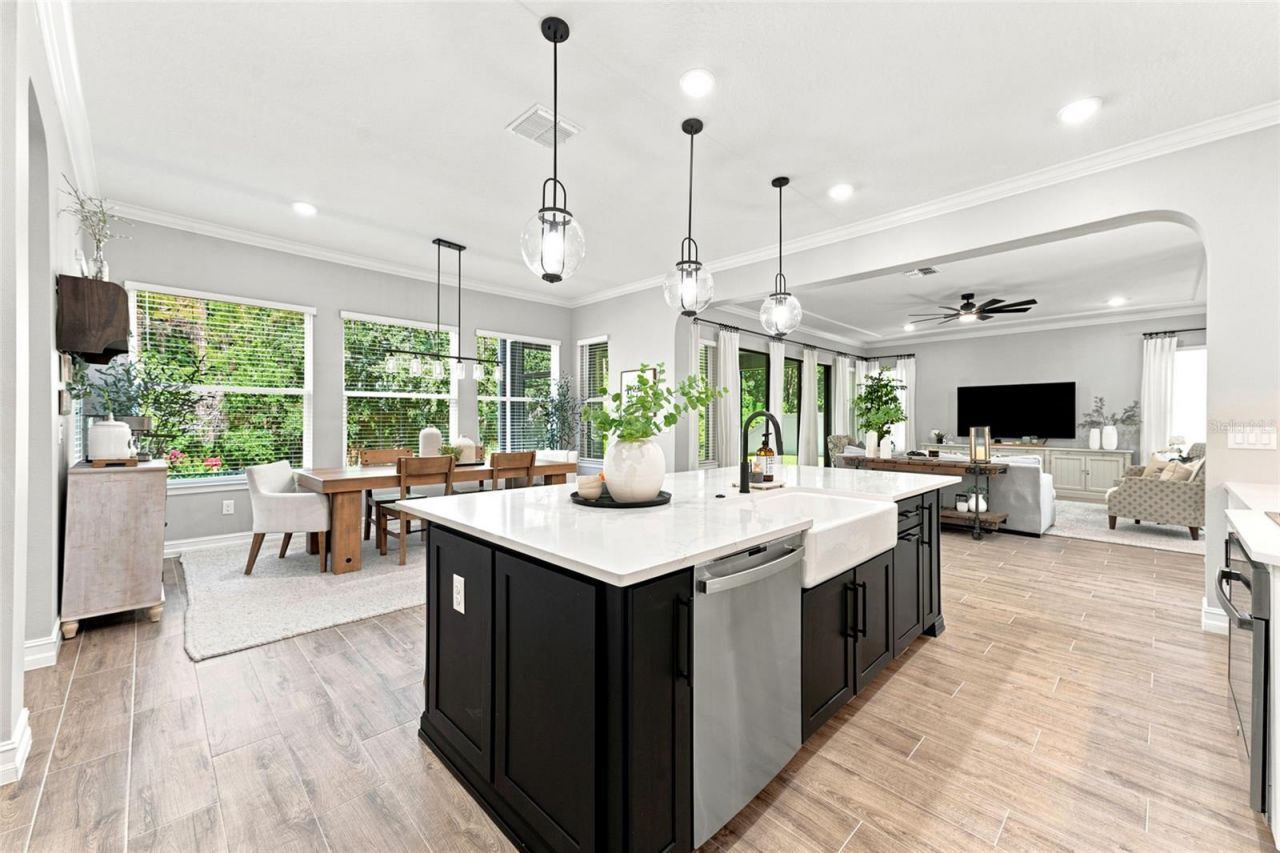 29818 Picana Lane, Wesley Chapel, FL 33543 Photo