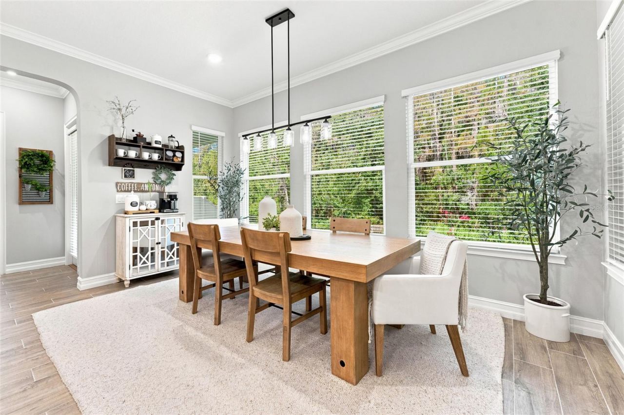 29818 Picana Lane, Wesley Chapel, FL 33543 Photo