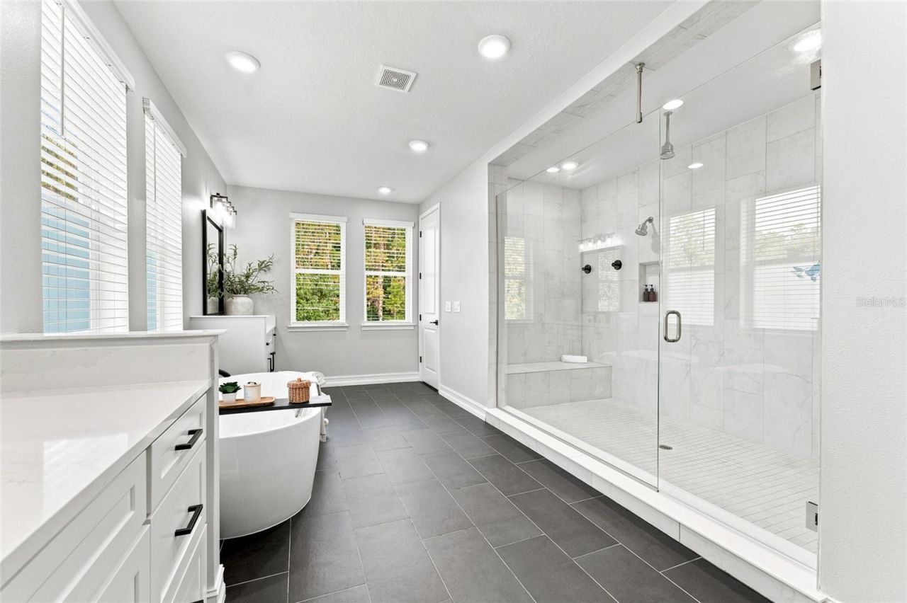 29818 Picana Lane, Wesley Chapel, FL 33543 Photo