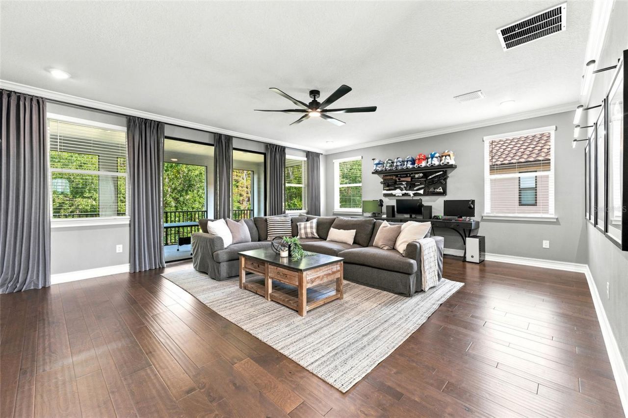 29818 Picana Lane, Wesley Chapel, FL 33543 Photo