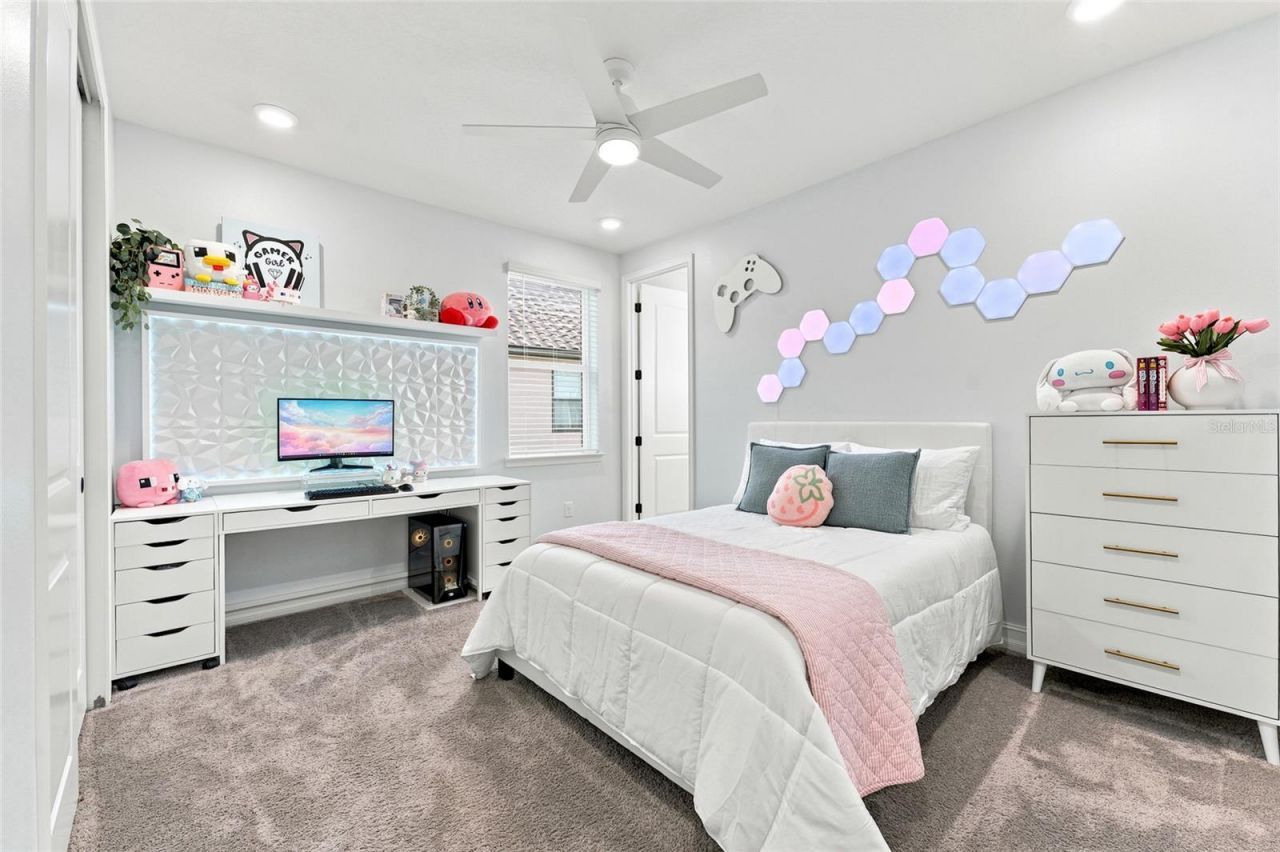 29818 Picana Lane, Wesley Chapel, FL 33543 Photo