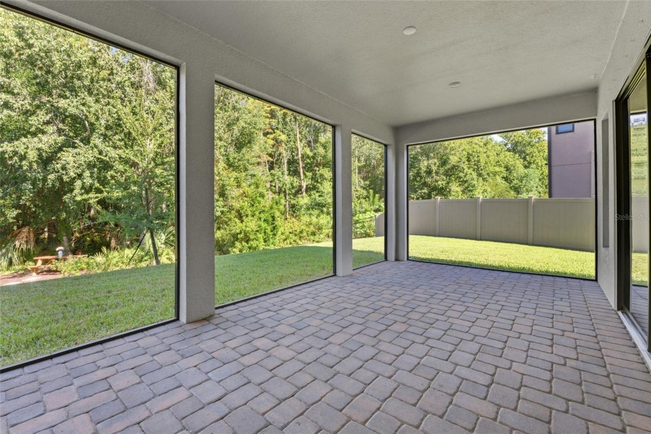 29818 Picana Lane, Wesley Chapel, FL 33543 Photo