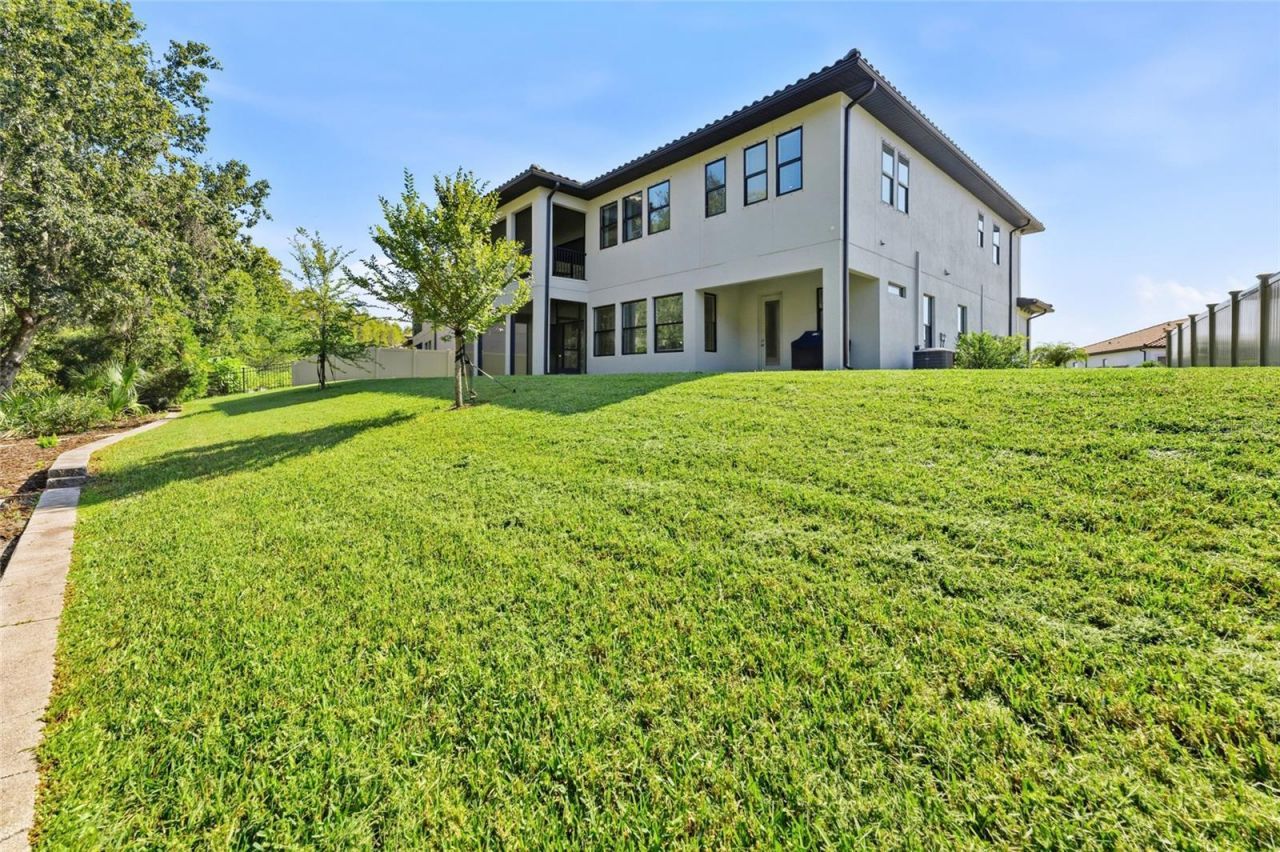 29818 Picana Lane, Wesley Chapel, FL 33543 Photo