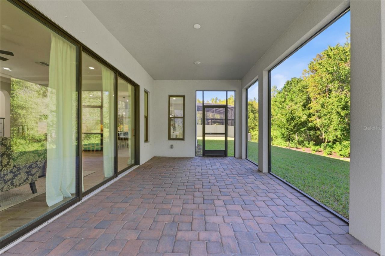 29818 Picana Lane, Wesley Chapel, FL 33543 Photo