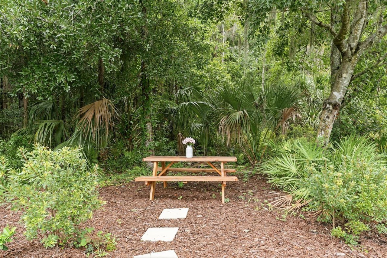 29818 Picana Lane, Wesley Chapel, FL 33543 Photo