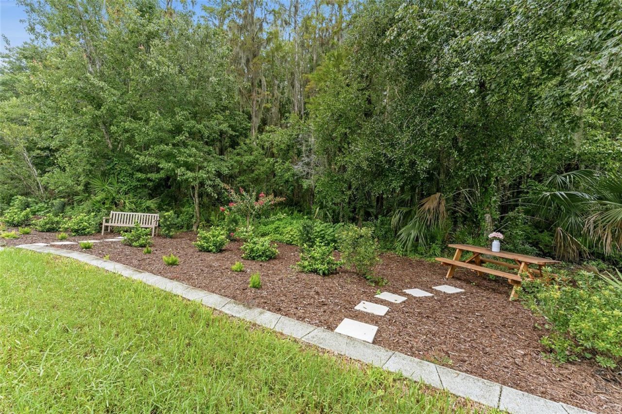 29818 Picana Lane, Wesley Chapel, FL 33543 Photo