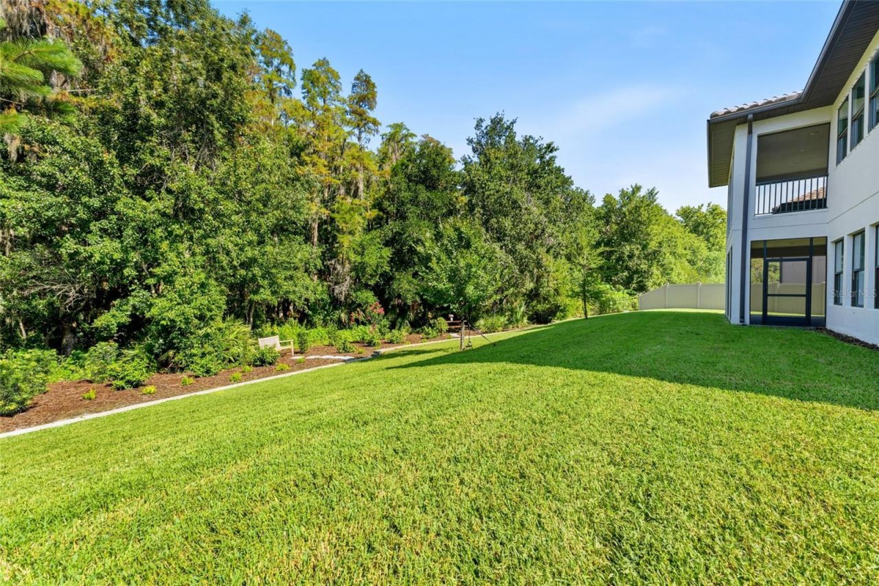 29818 Picana Lane, Wesley Chapel, FL 33543 Photo