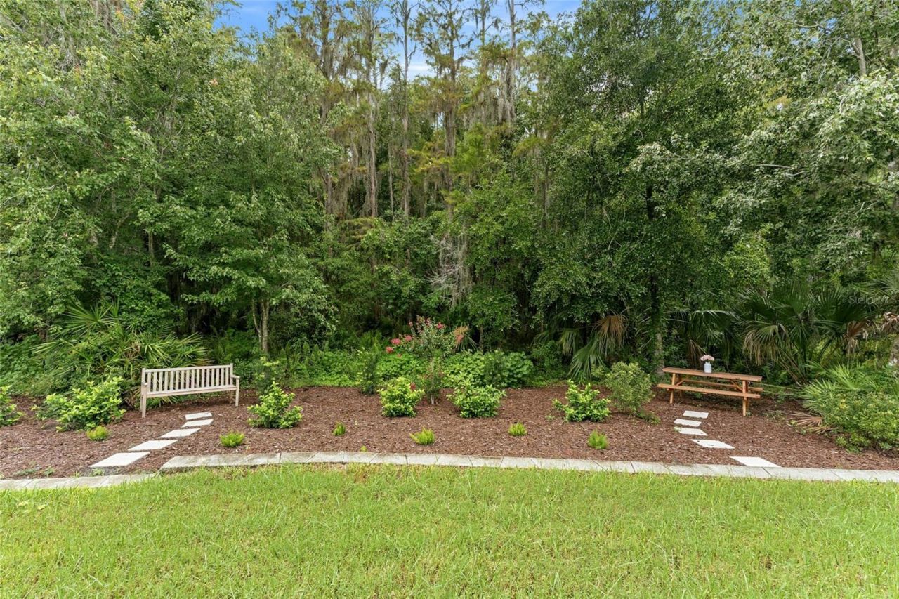 29818 Picana Lane, Wesley Chapel, FL 33543 Photo
