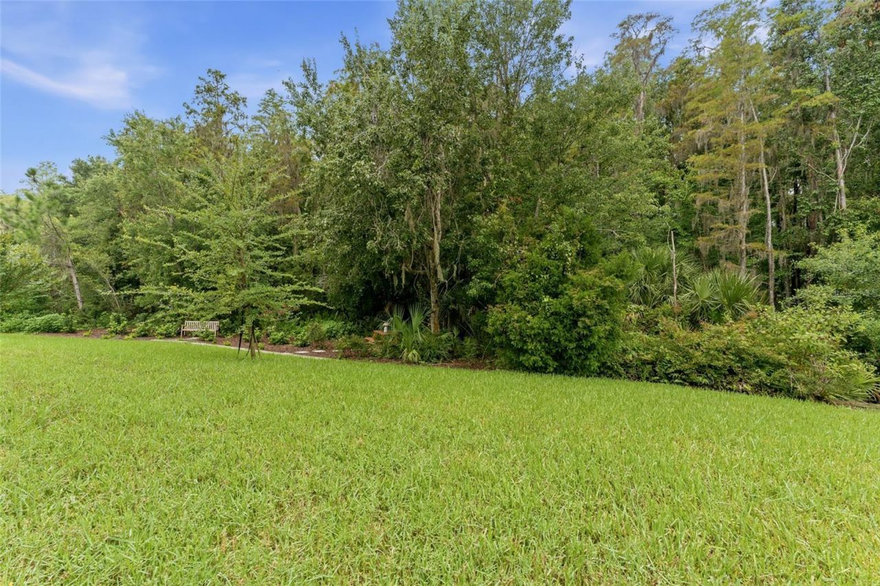 29818 Picana Lane, Wesley Chapel, FL 33543 Photo