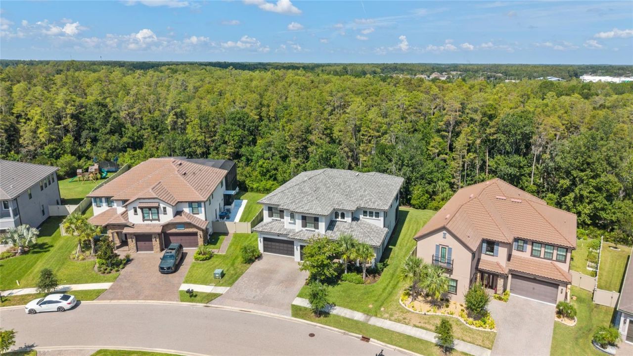 29818 Picana Lane, Wesley Chapel, FL 33543 Photo